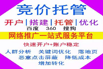 SEM托管服务成功案例：见证品牌成长